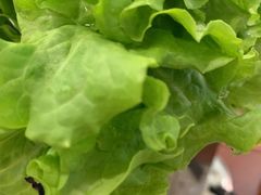 -比亚森自助烤肉料理(裕华店)