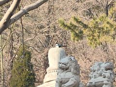 -青岛崂山太清宫