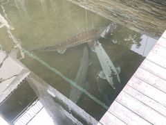 -Local泰莲庭(虹鳟鱼店)