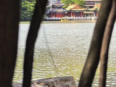 -观澳平台