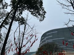 -三星堆博物馆