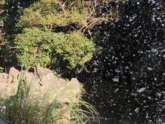 -小七孔景区-六十八级跌水瀑布