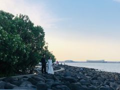 -吴淞炮台湾湿地森林公园烧烤区