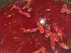 -朱光玉火锅馆(正弘城店)