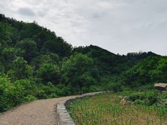 -九龙潭景区