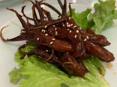 -蝶园·装修中(BFC外滩金融中心店)