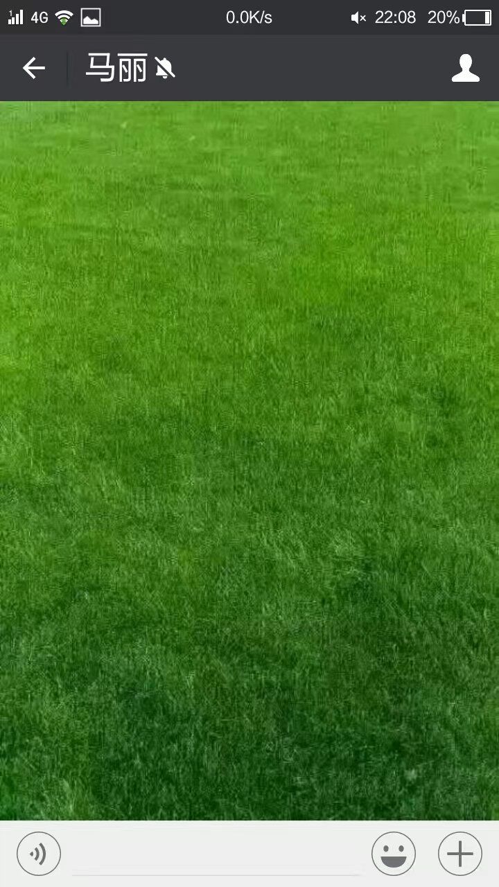 创作者赏金计划在一片绿地里开出来了几朵