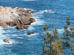 -广东惠东海龟国家级自然保护区