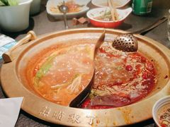 -熊喵来了火锅(四平万达第56分店)