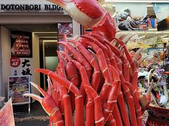 -蟹道乐(道顿堀本店)