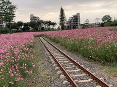 -歌斐颂巧克力小镇