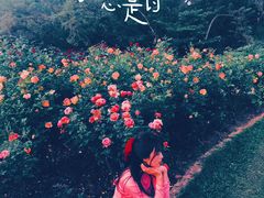 -人民公园(罗湖区)