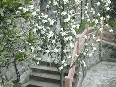-西陵峡快乐谷(三峡蹦极)