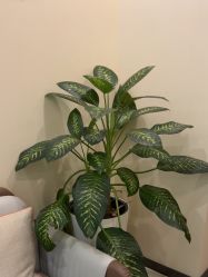 -北京米扬丽格医疗美容·联合丽格鼻整形中心