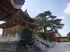 -上海东林寺(金山区)