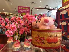 -星光糖果屋