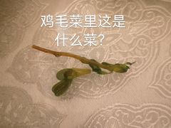 -博雅渔港·融合菜(维也纳国际大酒店)