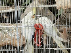 -上海大自然野生昆虫馆(东方明珠·爬宠昆虫探索中心)