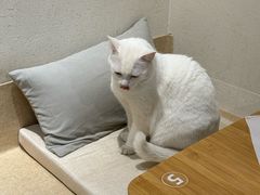 -南枝小馆(银鱼巷店)