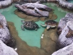 -重庆欢乐海底世界