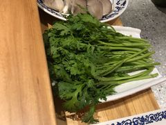 茼蒿-东镇老火锅(长春路首店)
