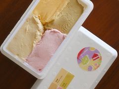 -Dip in Gelato(富民路店)