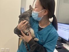 -美迦爱-牙专科·兔科·骨科诊疗中心(北苑店)