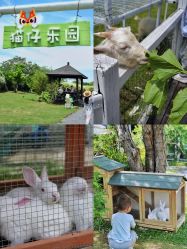 -太湖雪蚕桑文化园