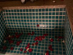 -春晖园度假酒店温泉