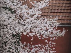 -浙江省杭州高级中学(贡院校区)