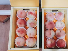 -南汇水蜜桃采摘(大团店)