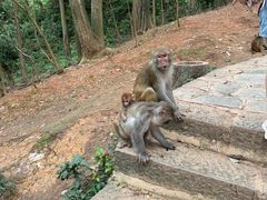-黔灵山公园