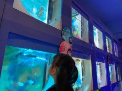 点击看大图 -七巧国萌宠乐园(龙湖天街店)