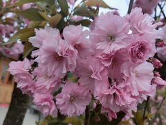 -贵阳市花溪国家城市湿地公园