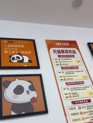 -洗脸熊·洗脸吧