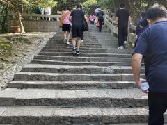 -珞珈山-售票处