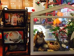 -狐狸家·酸奶酪专门店(平江路店)