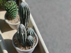 -33Coffeelab 咖啡研究所