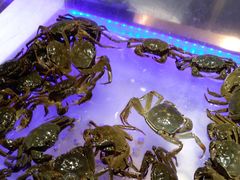 -诱货海鲜自助火锅(爱琴海购物公园东百店)