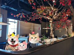 大堂-佬肥猫(国华广场店)