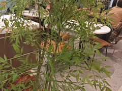 -必胜客(南通新圆融店)
