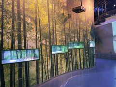 -中国杭州低碳科技馆