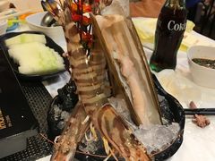 -鲜入围煮花胶鸡海鲜火锅