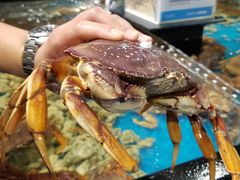 -盒马鲜生(皇庭广场店)