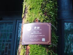-绮园景区