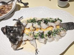 清蒸石斑鱼-惠食佳(滨江大公馆店)