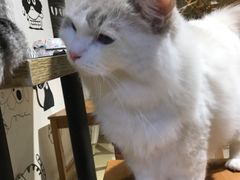 -小时光咖啡馆(开森度假森林店)