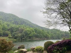 -桃花岭景区