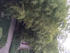 iphone_upload_pic-望江楼公园