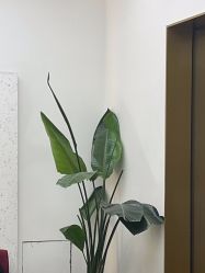 点击看大图 -JUNO hair salon